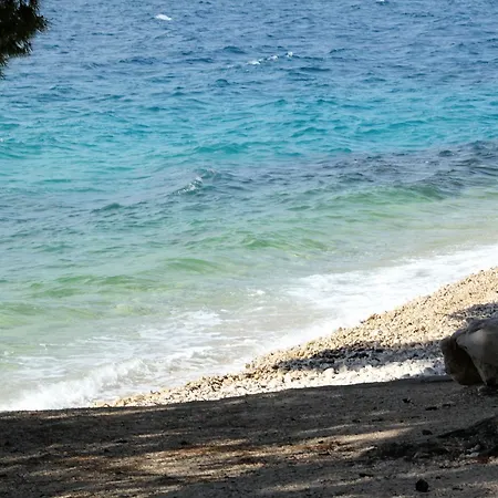 Apartman By The Sea Petrcane, Zadar - 3272